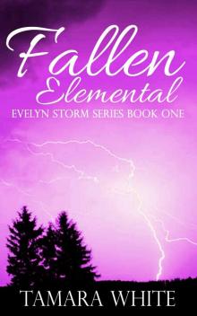 Fallen Elemental (Evelyn Storm Series Book 1)