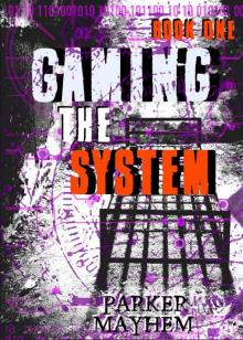 Gaming The System: Gaming The System Bk 1