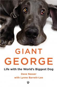 Giant George