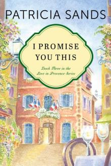 I Promise You This (Love in Provence Book 3)