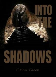 Into the Shadows