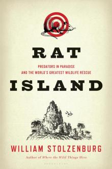 Rat Island