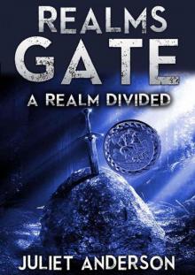 Realms Gate: A Realm Divided