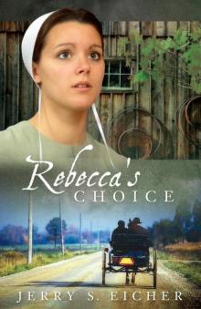 Rebecca's Choice (The Adams County Trilogy 3)