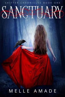 Sanctuary: A dark urban fantasy (Shifter Chronicles Book 1)