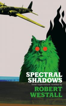 Spectral Shadows