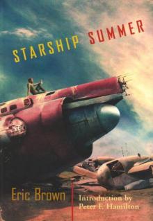 Starship Summer ss-1