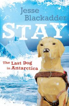 Stay:The Last Dog in Antarctica