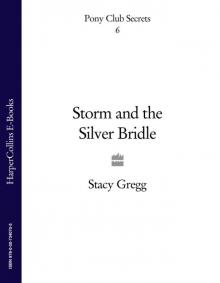 Storm and the Silver Bridle