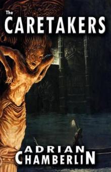 The Caretakers (2011)