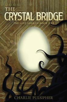 The Crystal Bridge (The Lost Shards Book 1)