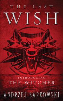 The Last Wish: Introducing The Witcher