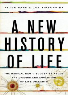 A New History of Life