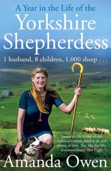 A Year in the Life of the Yorkshire Shepherdess