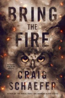 Bring the Fire (The Wisdom's Grave Trilogy Book 3)