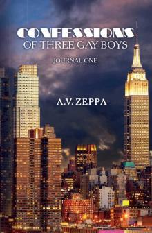 Confessions of Three Gay Boys: Journal One