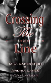 Crossing The Line (A Taboo Love series Book 3)