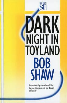 Dark Night in Toyland