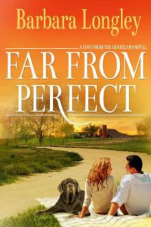 Far from Perfect (Perfect, Indiana: Book One)