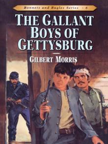 Gallant Boys of Gettysburg