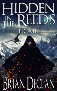 Home (Hidden in the Reed's Book 1)