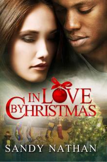 In Love by Christmas: A Paranormal Romance