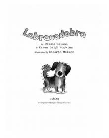 Labracadabra