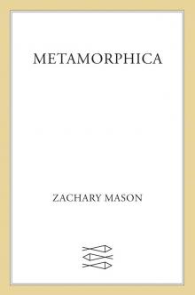 Metamorphica