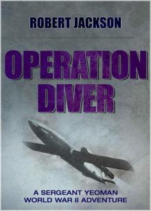 Operation Diver