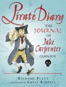 Pirate Diary