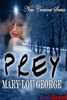 Prey (BookStrand Publishing Romance)