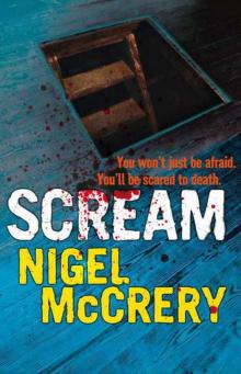 Scream: A DCI Mark Lapslie Investigation