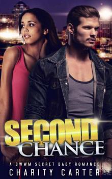 Second Chance (A Secret Baby Romance Novel)