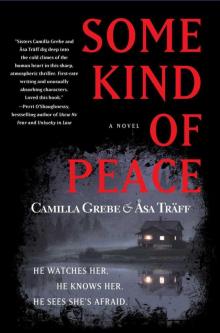 Some Kind of Peace: A Novel