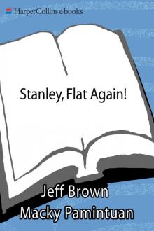 Stanley, Flat Again!