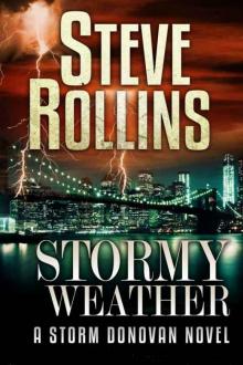 Stormy Weather (Storm Donovan Book 1)