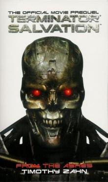 Terminator Salvation - From the Ashes ts-2