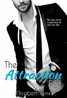 The Attraction File (Cake Love Book 2)