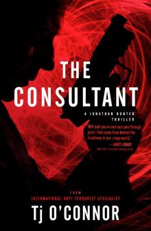 The Consultant