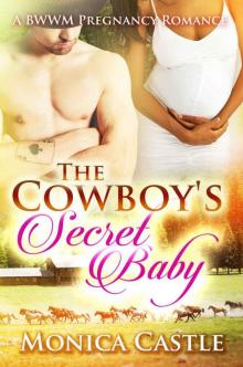 The Cowboy's Secret Baby: A BWWM Pregnancy Romance