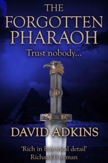 The Forgotten Pharaoh