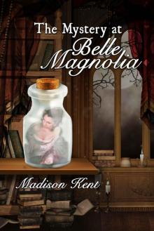 The Mystery at Belle Magnolia (Madeline Donovan Mysteries Book 3)