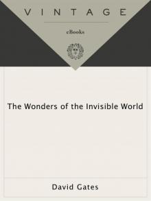 The Wonders of the Invisible World