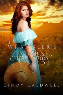 The Wrangler's Mail Order Bride