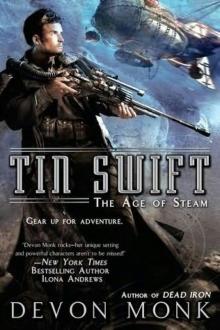 Tin Swift taos-2