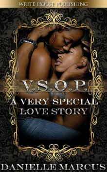 V.S.O.P.: A Very Special Love Story