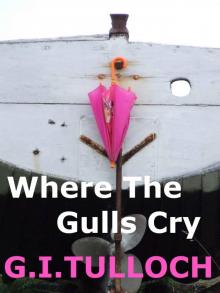 Where The Gulls Cry (A Contemporary Love Story)