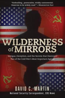 Wilderness of Mirrors