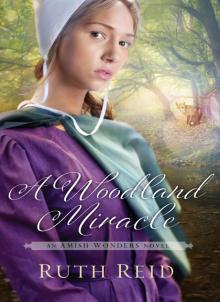 Woodland Miracle (9781401688332)