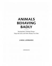 Animals Behaving Badly